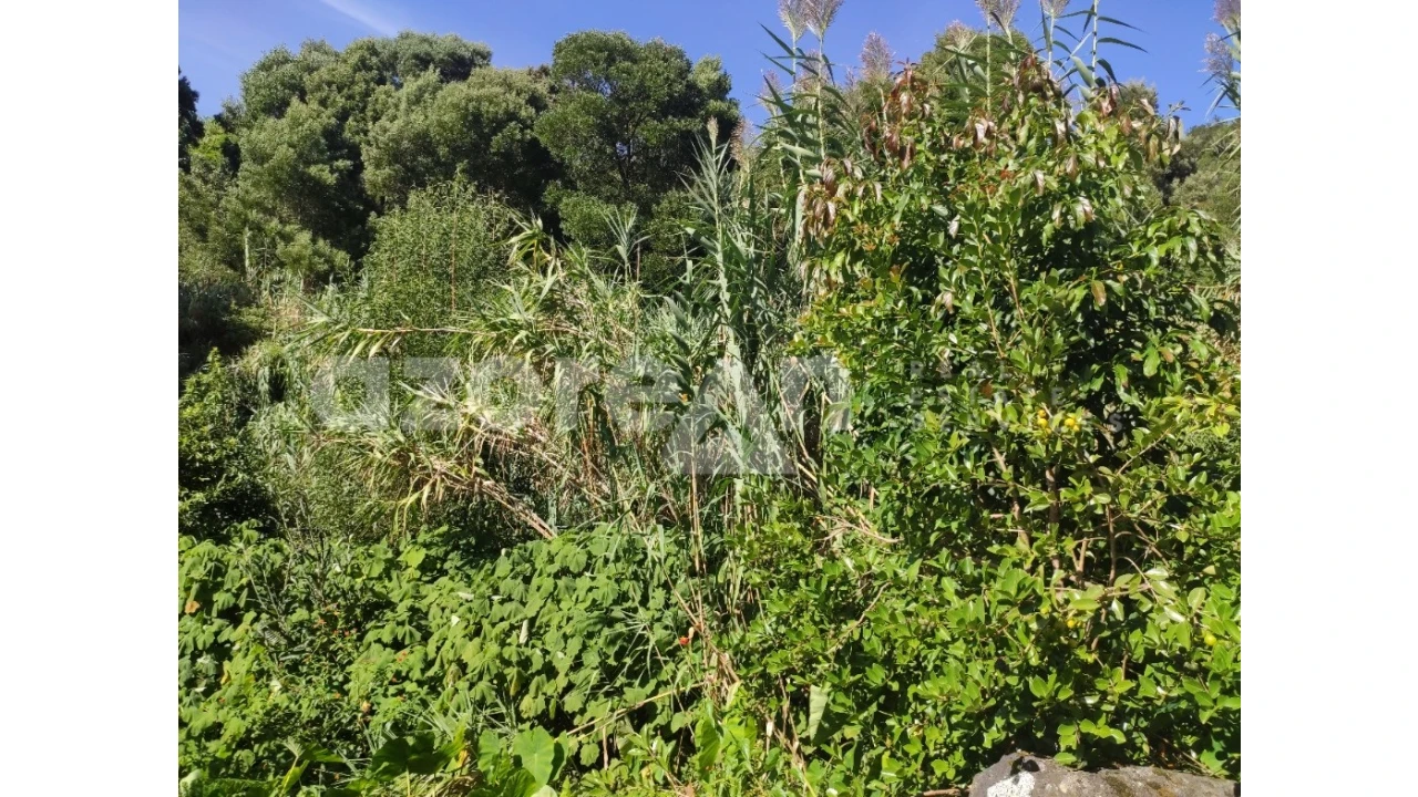 Moradia T3 para Venda em Feteiras Foto 39