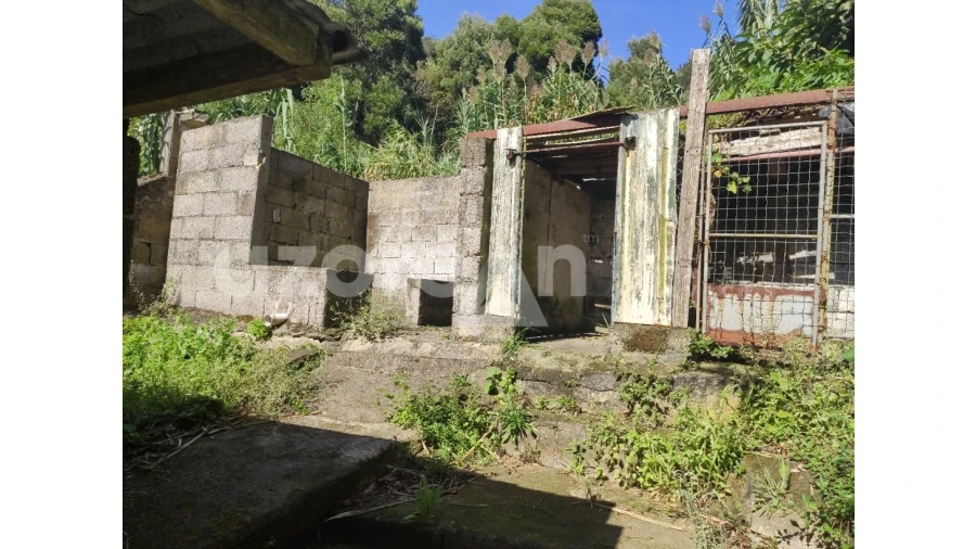 Moradia T3 para Venda em Feteiras Foto 37