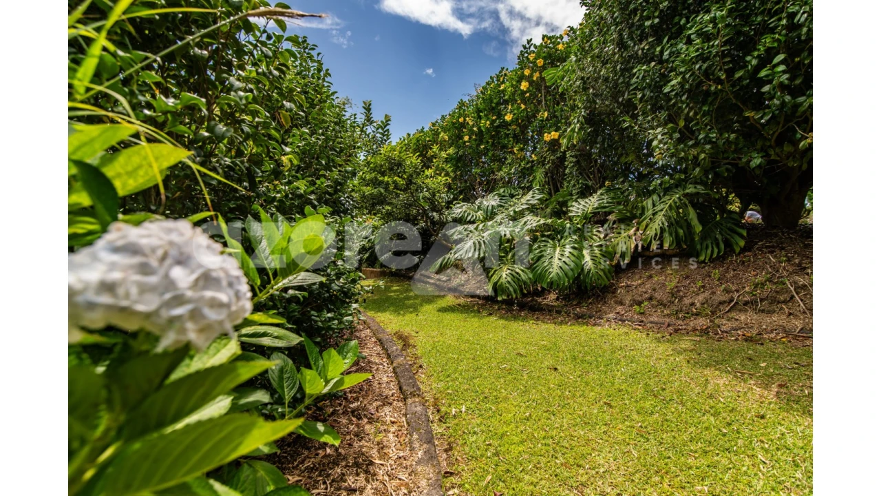 Moradia T11 para Venda em Ribeira Seca Foto 46