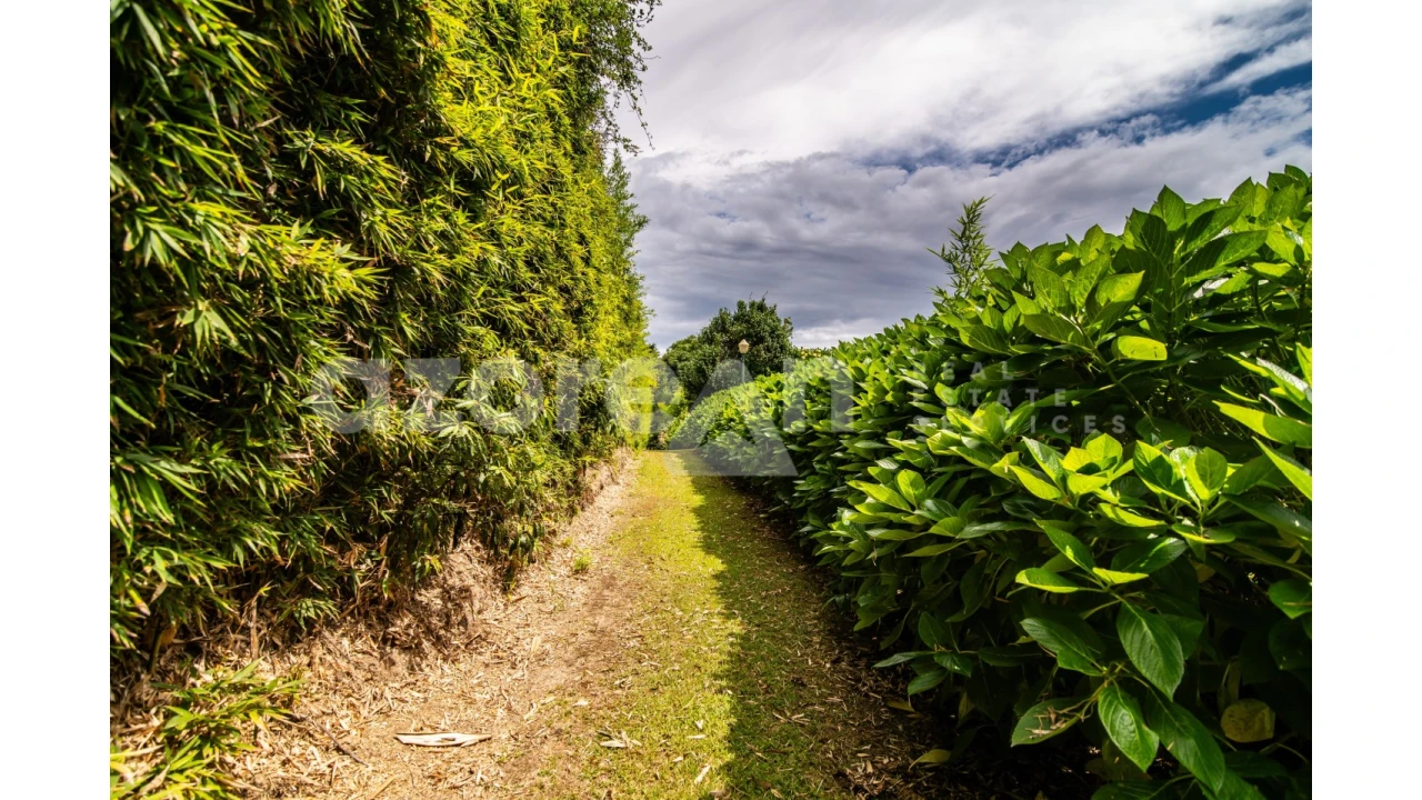 Moradia T11 para Venda em Ribeira Seca Foto 47