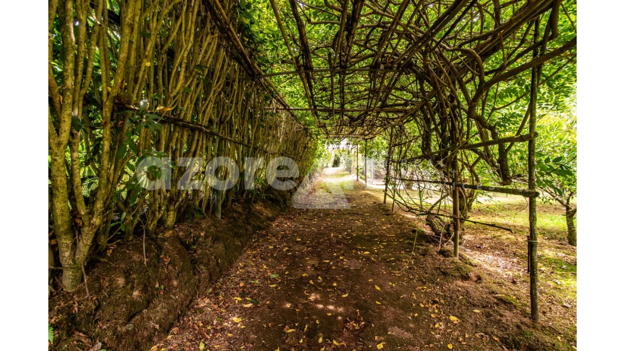 Moradia T11 para Venda em Ribeira Seca Foto 56