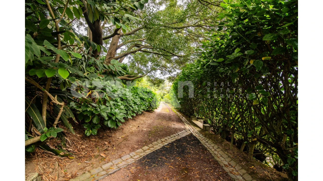 Moradia T11 para Venda em Ribeira Seca Foto 58