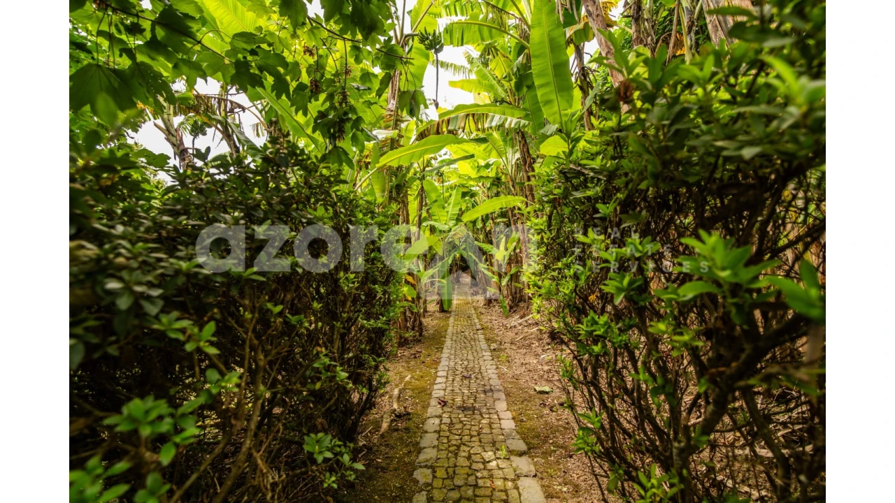 Moradia T11 para Venda em Ribeira Seca Foto 59