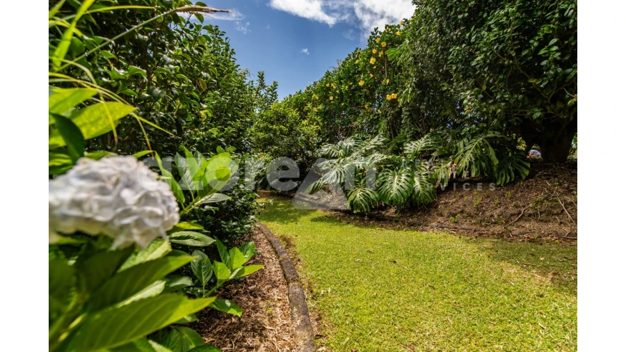 Moradia T11 para Venda em Ribeira Seca Foto 46