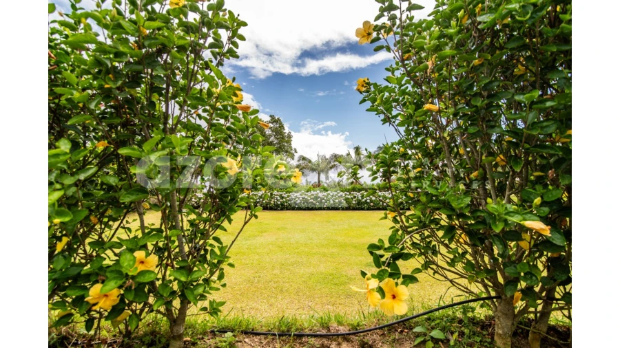 Moradia T11 para Venda em Ribeira Seca Foto 49