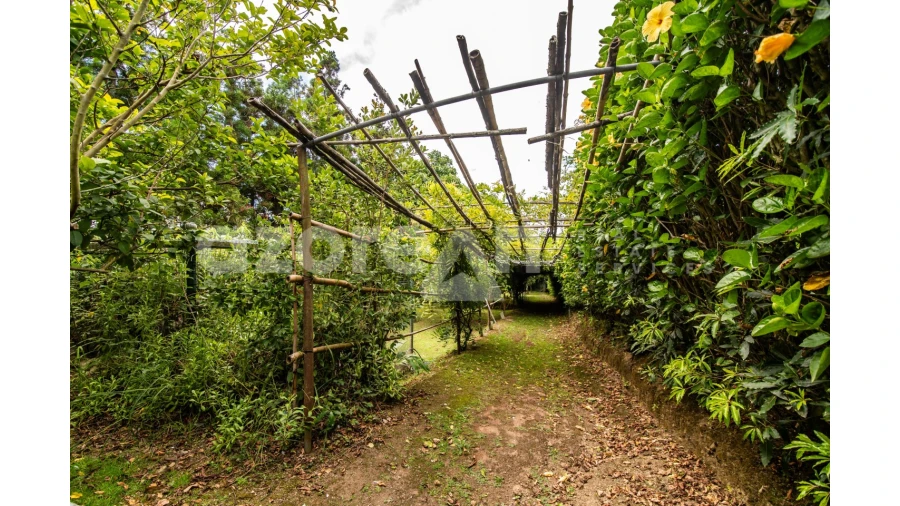 Moradia T11 para Venda em Ribeira Seca Foto 53