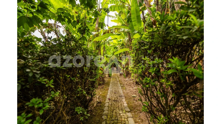 Moradia T11 para Venda em Ribeira Seca Foto 59