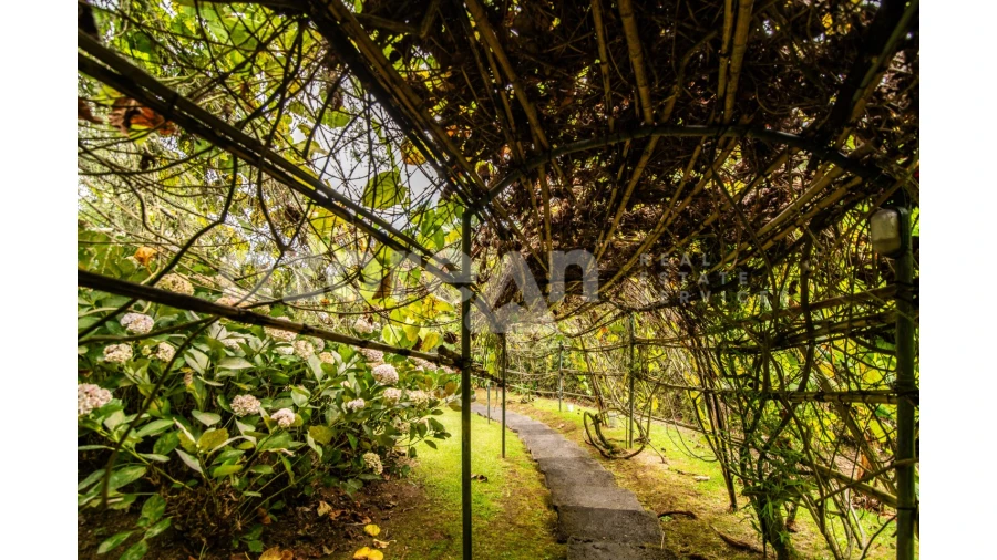 Moradia T11 para Venda em Ribeira Seca Foto 55