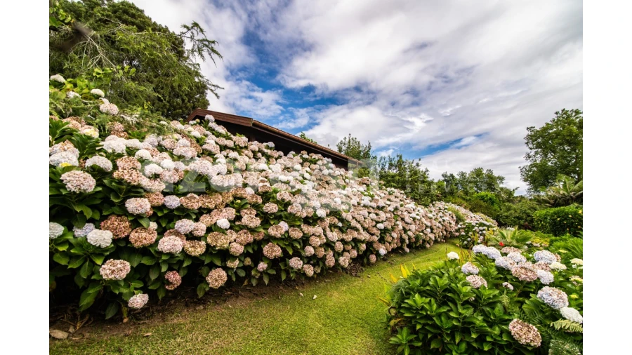 Moradia T11 para Venda em Ribeira Seca Foto 33