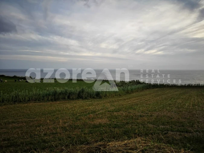 Terreno para Venda em Ginetes Foto 13