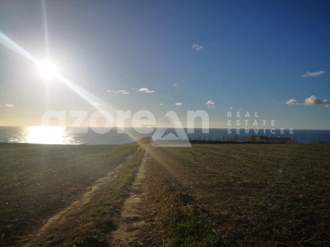 Terreno para Venda em Ginetes Foto 14