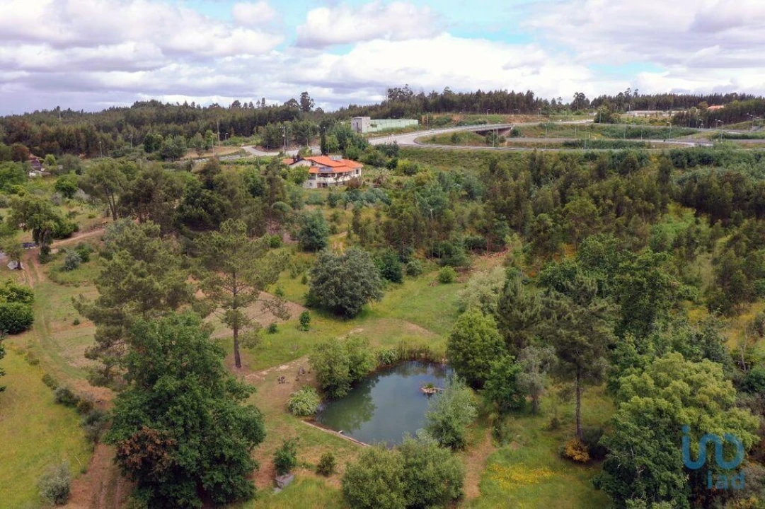 Moradia T6 para Venda em Candosa Foto 3