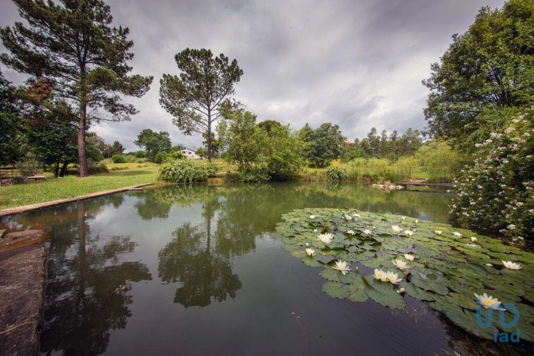 Moradia T6 para Venda em Candosa Foto 7