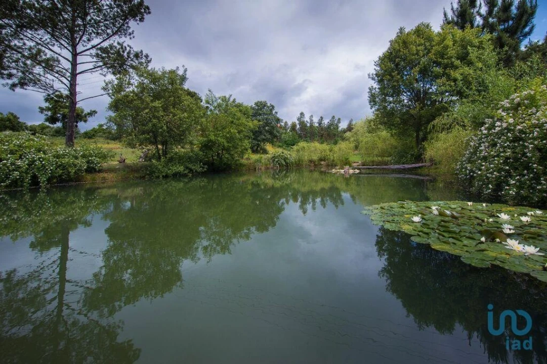 Moradia T6 para Venda em Candosa Foto 8