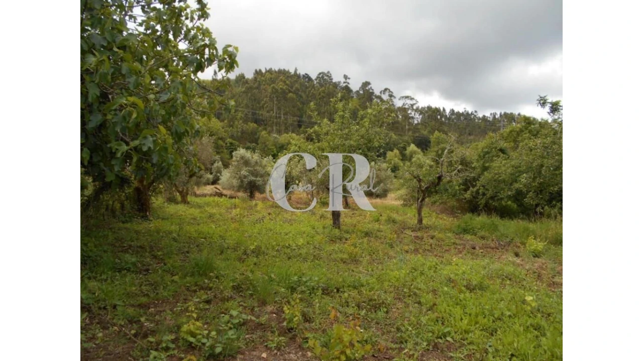 Moradia T4 para Venda em Chão de Couce Foto 59