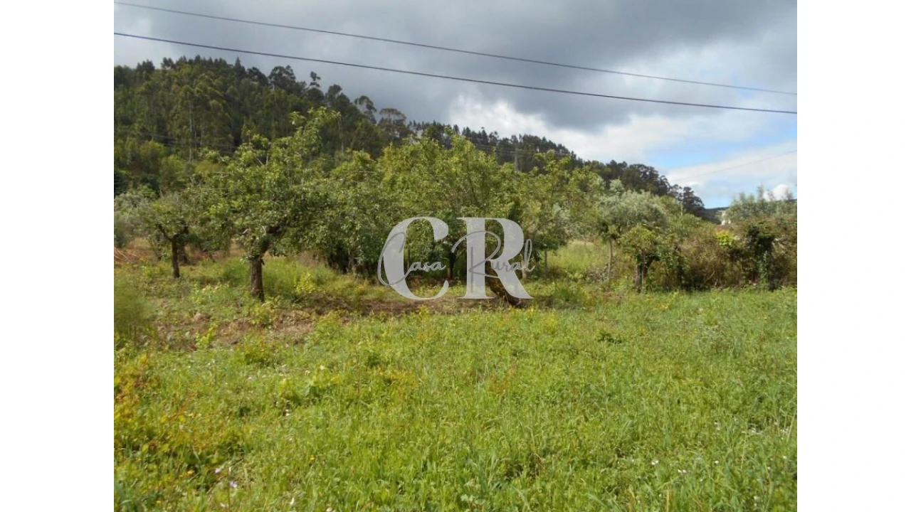 Moradia T4 para Venda em Chão de Couce Foto 57