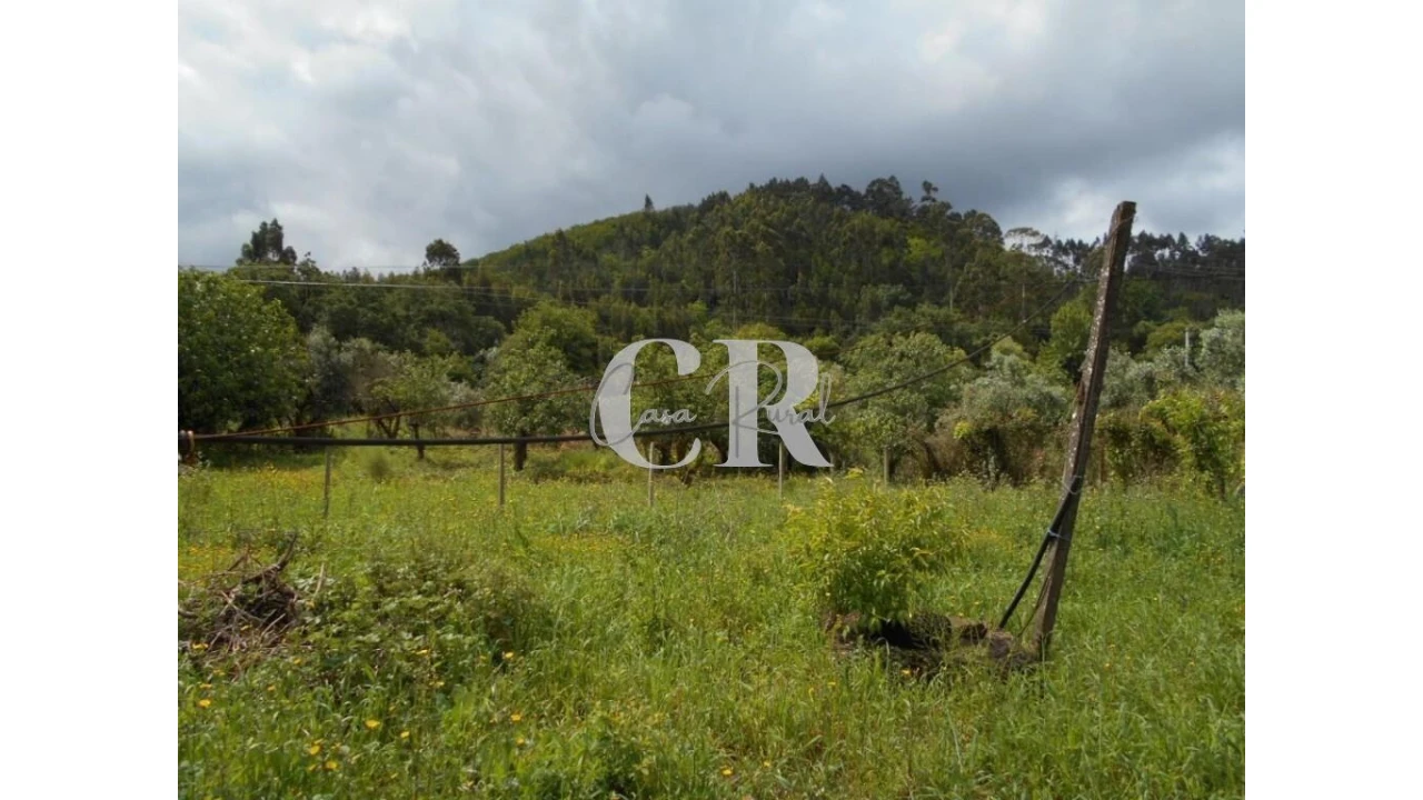 Moradia T4 para Venda em Chão de Couce Foto 58