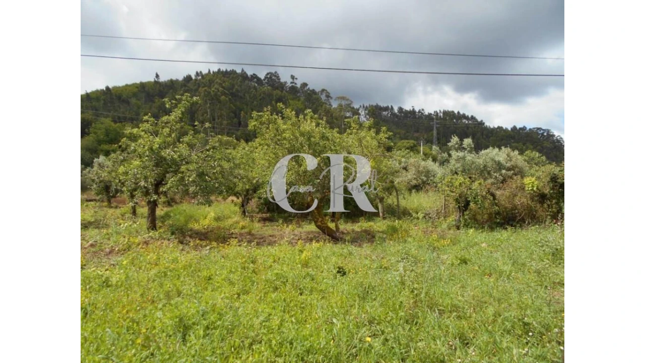 Moradia T4 para Venda em Chão de Couce Foto 52