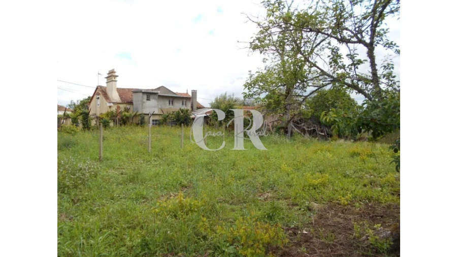 Moradia T4 para Venda em Chão de Couce Foto 9