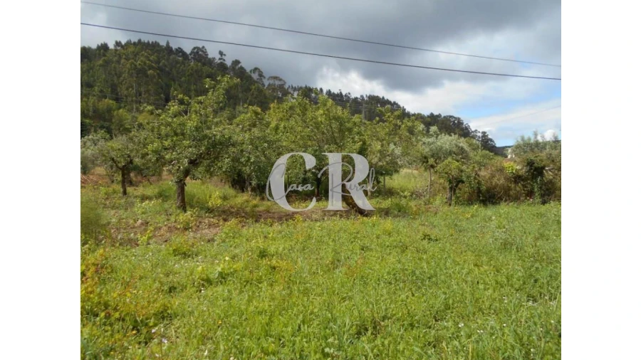 Moradia T4 para Venda em Chão de Couce Foto 57