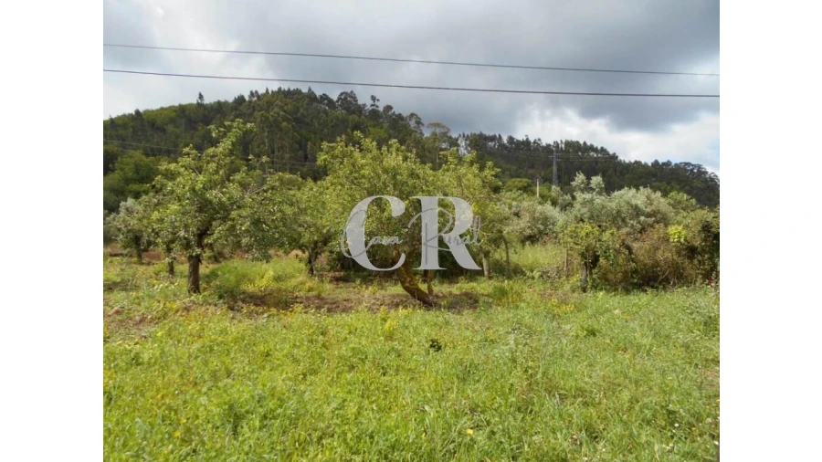 Moradia T4 para Venda em Chão de Couce Foto 52