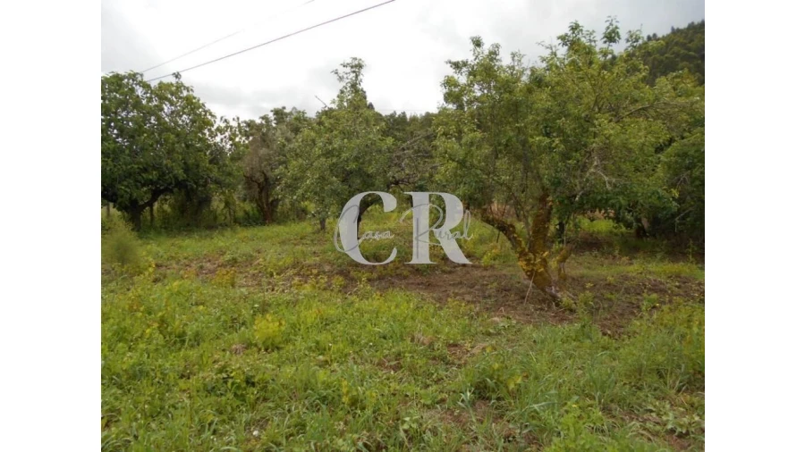 Moradia T4 para Venda em Chão de Couce Foto 54