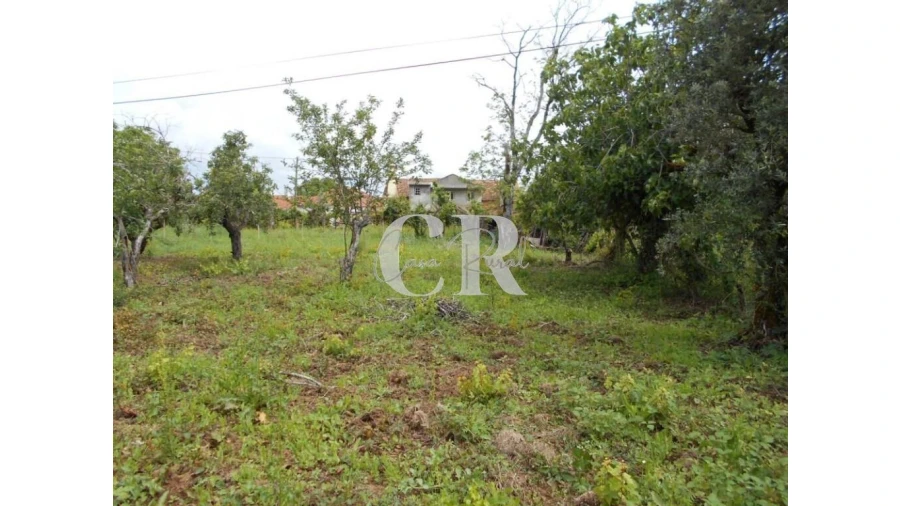 Moradia T4 para Venda em Chão de Couce Foto 55