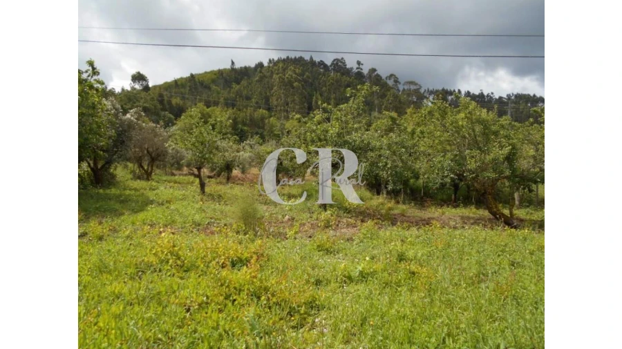 Moradia T4 para Venda em Chão de Couce Foto 51