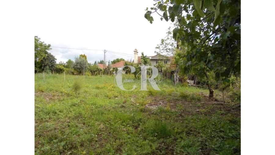 Moradia T4 para Venda em Chão de Couce Foto 53