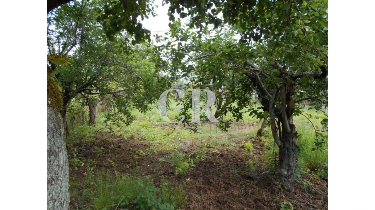 Moradia T4 para Venda em Chão de Couce Foto 56