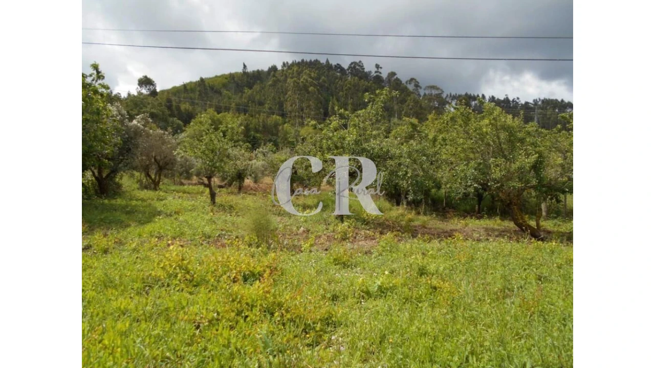 Moradia T4 para Venda em Chão de Couce Foto 51