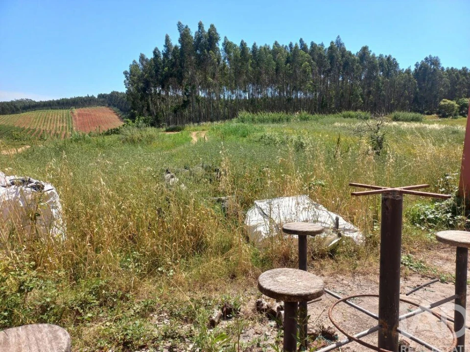 Loja para Venda em Bombarral e Vale Covo Foto 28