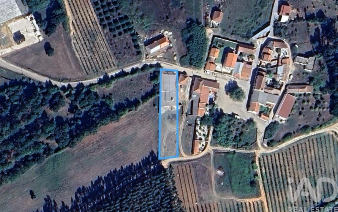 Loja para Venda em Bombarral e Vale Covo Foto 1