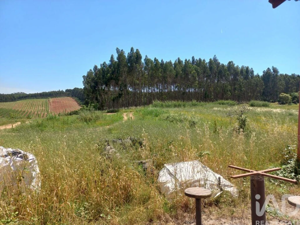 Loja para Venda em Bombarral e Vale Covo Foto 29