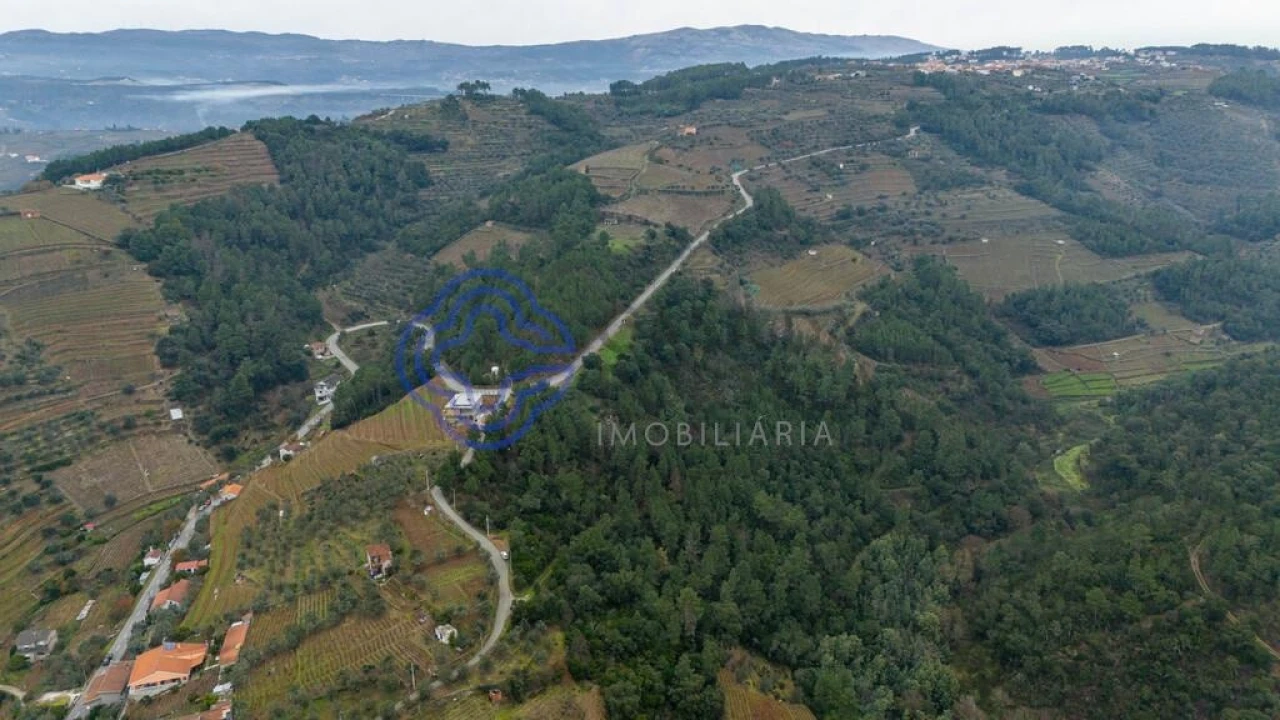 Terreno para Venda em Folhadela Foto 10