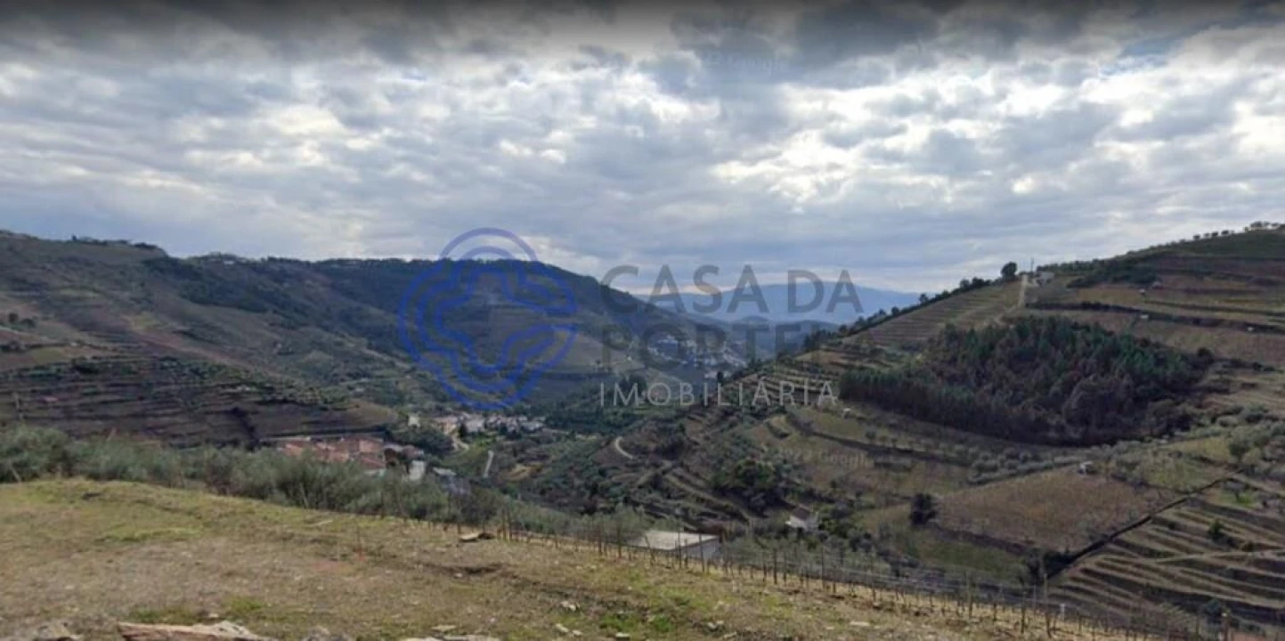 Terreno para Venda em Folhadela Foto 1