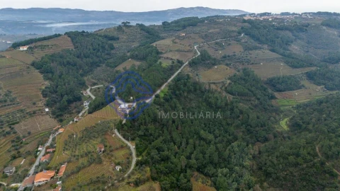 Terreno para Venda em Folhadela