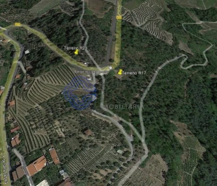 Terreno para Venda em Folhadela