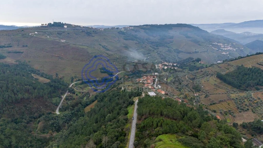 Terreno para Venda em Folhadela Foto 5