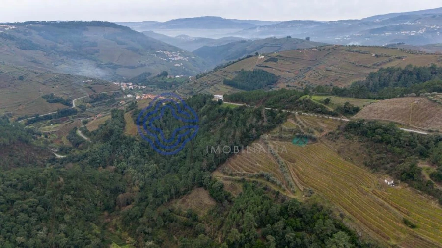 Terreno para Venda em Folhadela Foto 12