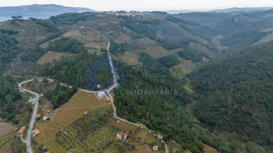 Terreno para Venda em Folhadela Foto 11