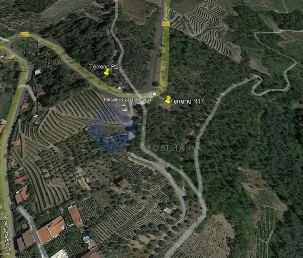 Terreno para Venda em Folhadela Foto 13