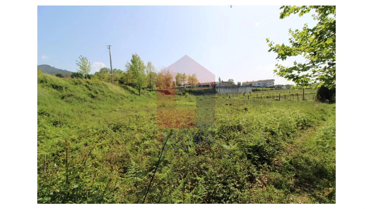 Terreno para Venda em Caldelas, Sequeiros e Paranhos Foto 14