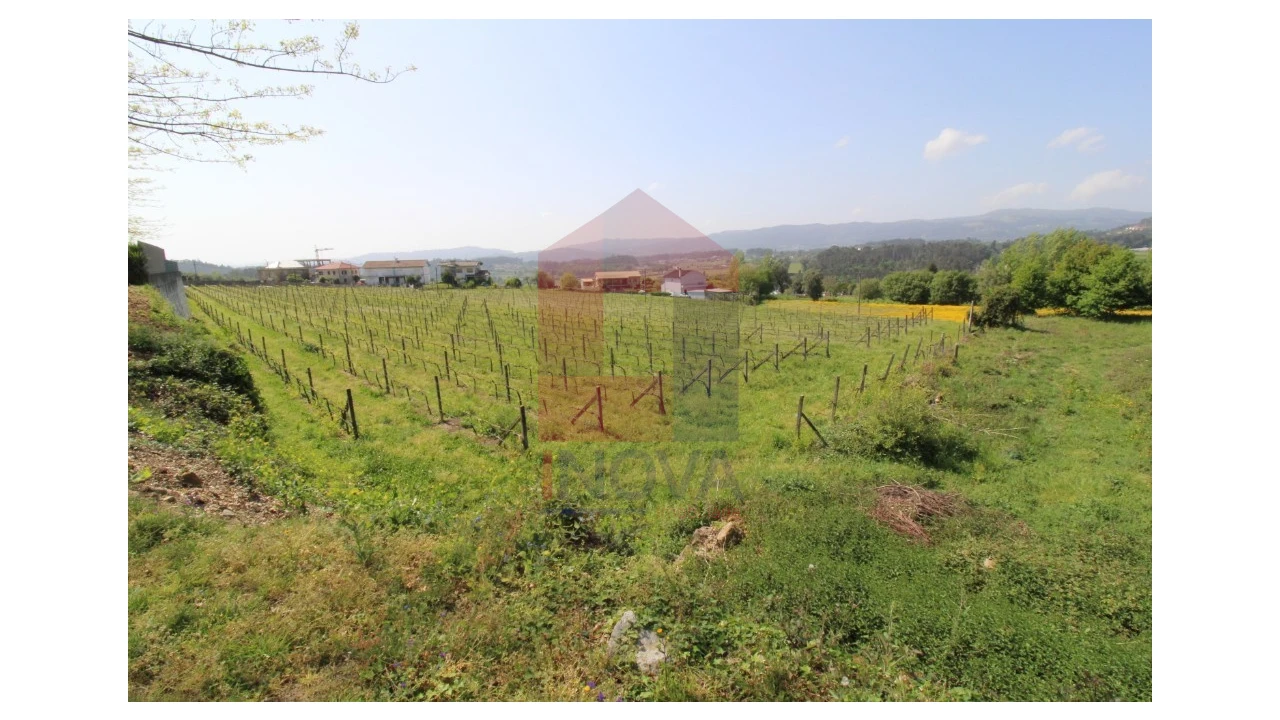 Terreno para Venda em Caldelas, Sequeiros e Paranhos Foto 21