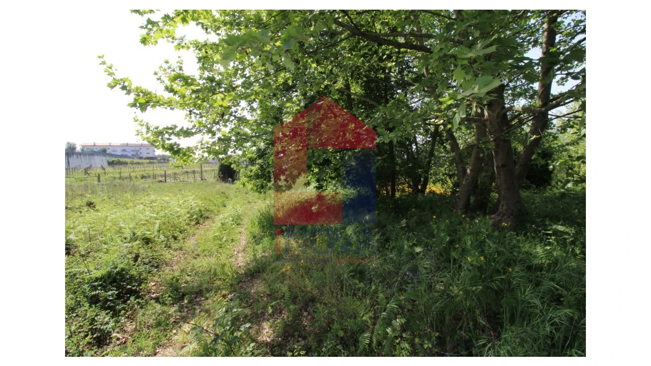 Terreno para Venda em Caldelas, Sequeiros e Paranhos Foto 13