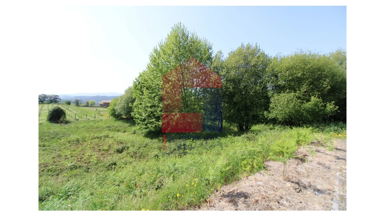 Terreno para Venda em Caldelas, Sequeiros e Paranhos Foto 4