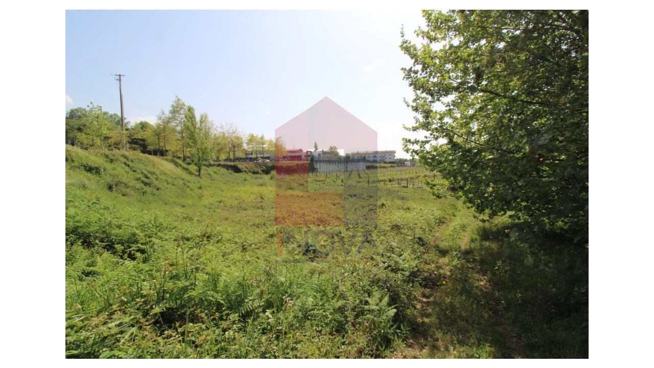 Terreno para Venda em Caldelas, Sequeiros e Paranhos Foto 9
