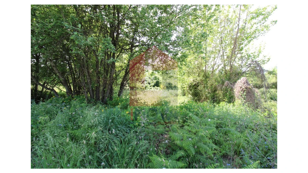 Terreno para Venda em Caldelas, Sequeiros e Paranhos Foto 10