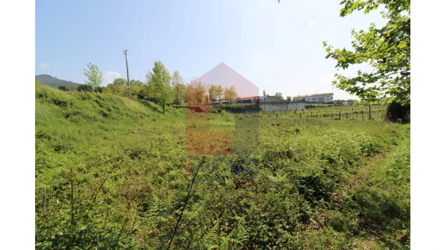 Terreno para Venda em Caldelas, Sequeiros e Paranhos Foto 14