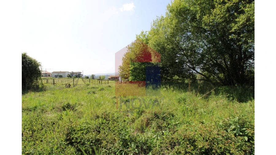 Terreno para Venda em Caldelas, Sequeiros e Paranhos Foto 16